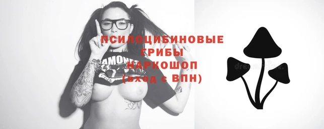 мяу мяу мука Балахна